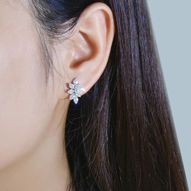 Harry Winston Earrings